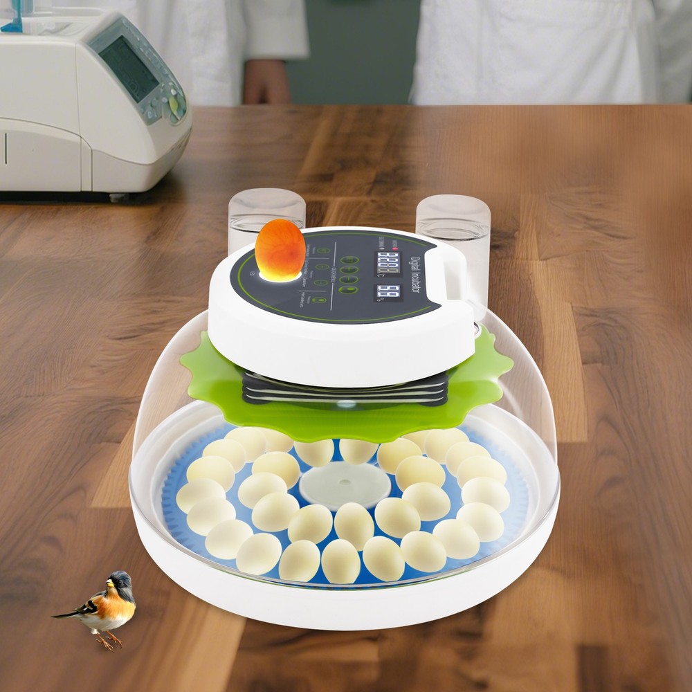 33 Eggs Quail Egg Incubator Modern Small Quail Brooder Poultry Quail Incubator