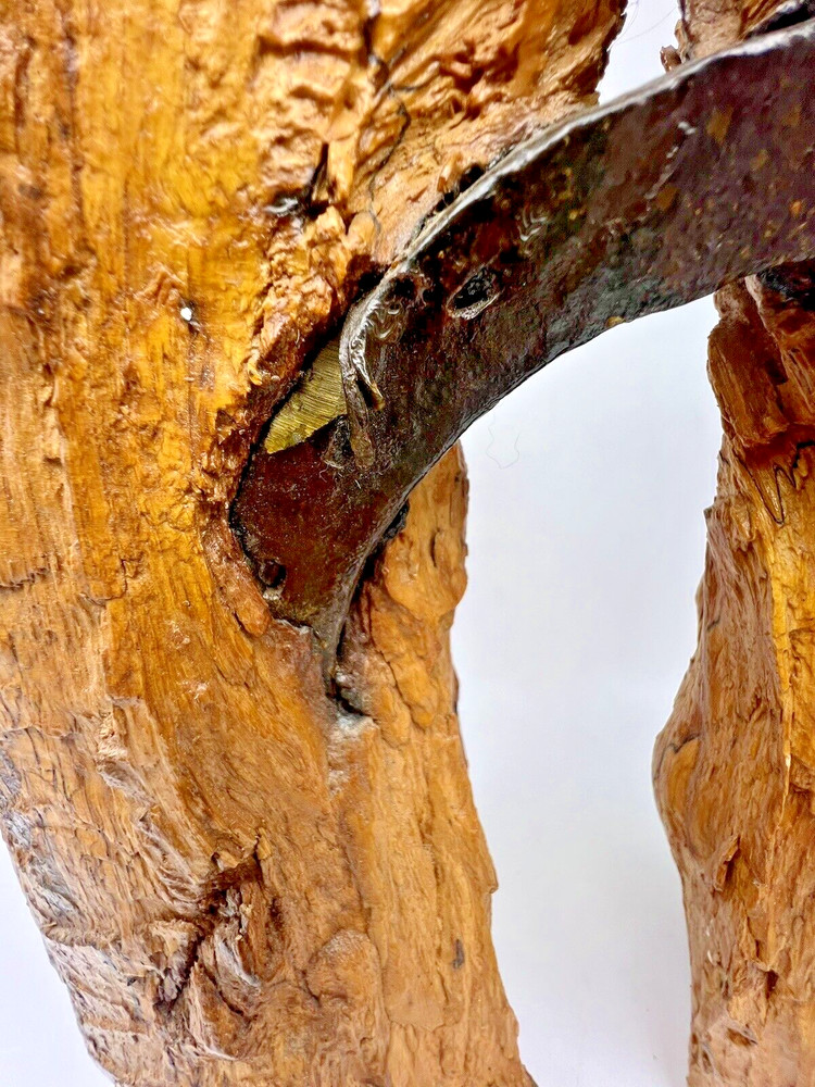Old Horseshoe Embedded in a Tree 11" X 10" Primitive