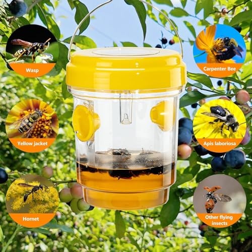 3pc Wasp Traps Outdoor Hanging