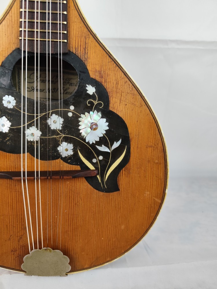 Mandolin 4/4 Panormo London 1974 曼陀林 만돌린マンドリン