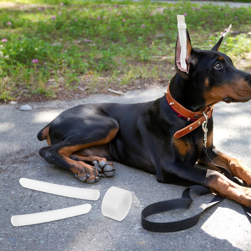 10 Pcs Doberman Ear Posting Kit Dog Tying Device Puppy Support Tool