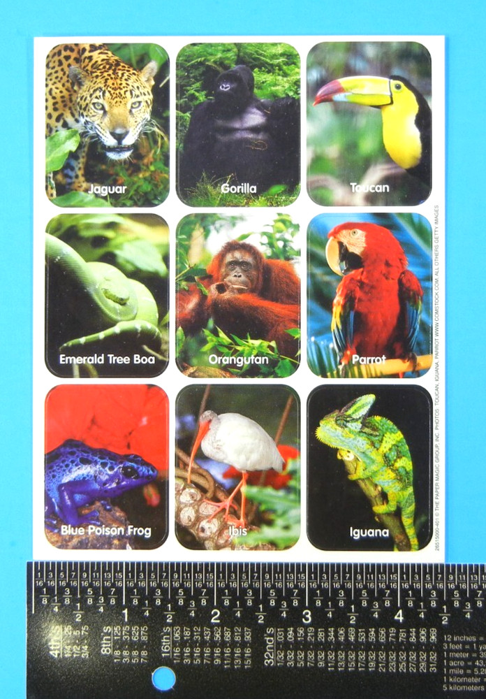 Vintage Eureka Rainforest Animals Sticker Sheet