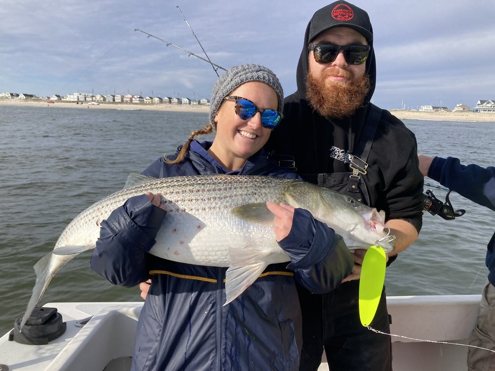 9” 5 ounce sparkle white Flutter Spoon￼ striped bass striper