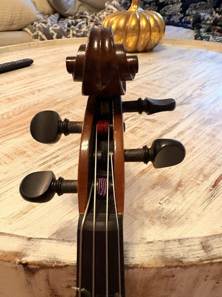 Voila Size 14 Student