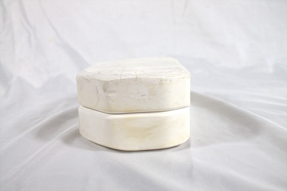 Ceramic Slip Casting Mold Oasis Prickly pear Cactus #228