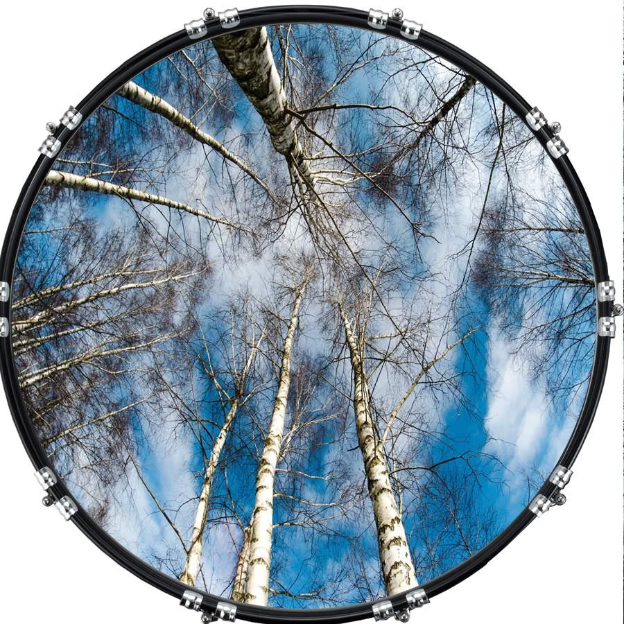 20" Custom Bass Kick Drum Front Head Graphic Graphical Trees 2