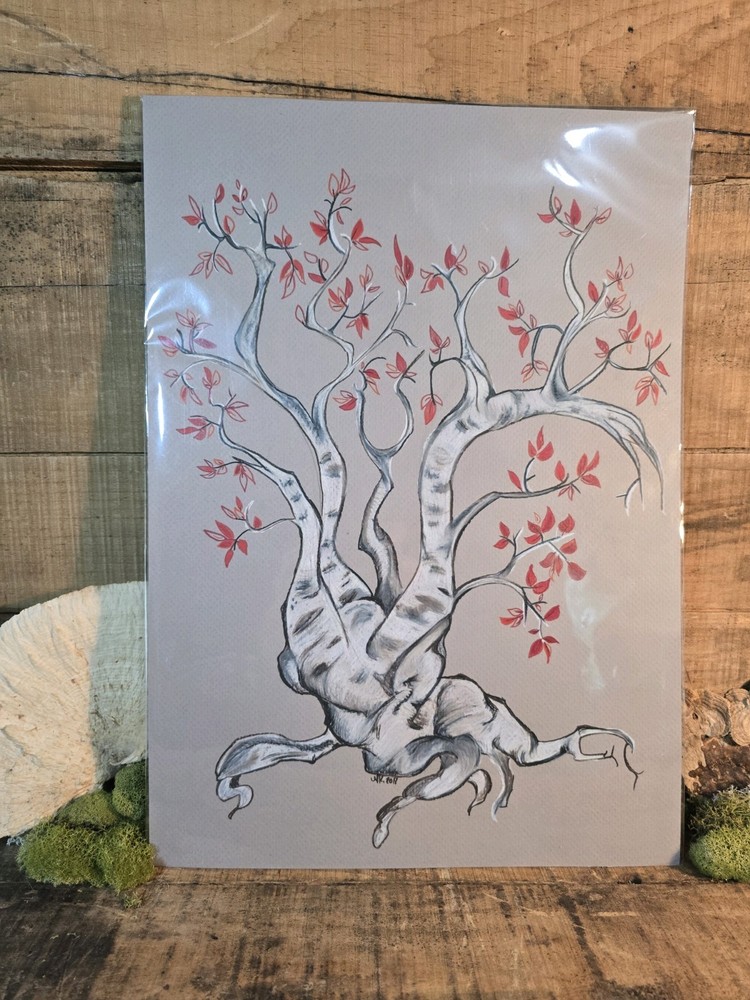 Crimson Birch Tree, Colored Pencil On Textured Paper