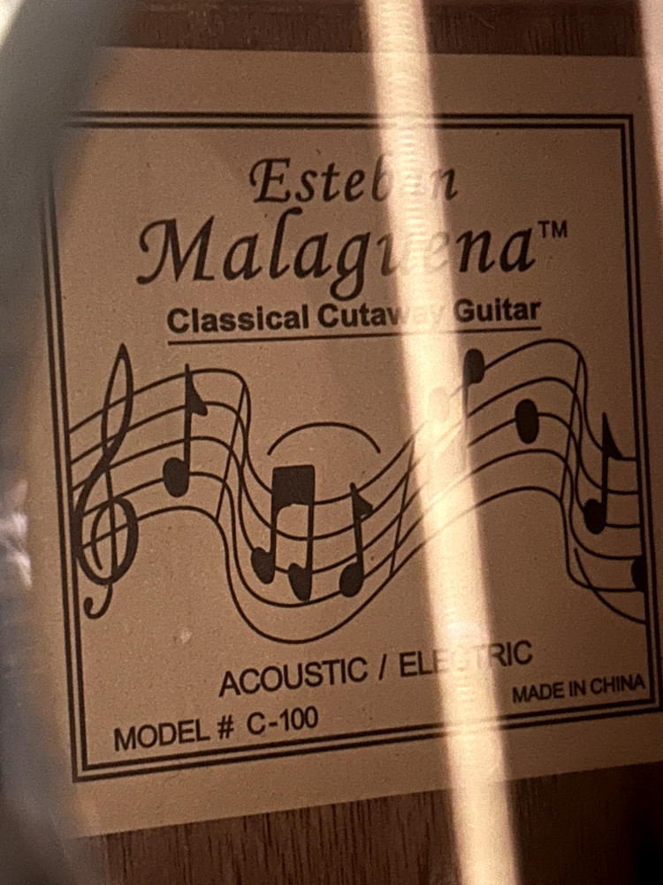 Esteban's Granada C-100 Classical Acoustic Electric Guitar