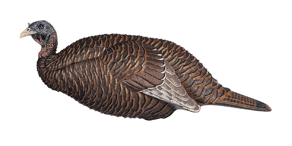 Flextone FLX-FLXDY331