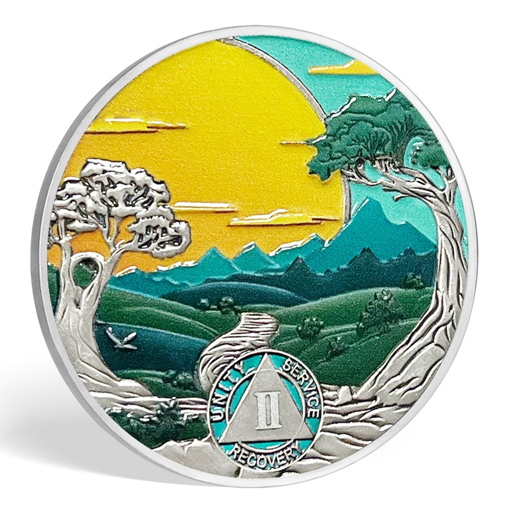 AA 3 Year Sobriety Coin Alcoholics Anonymous AA Chips Medallion Three Year Sober