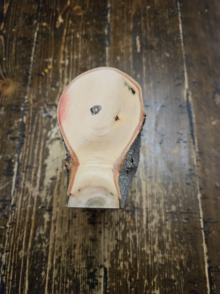 MAPLE Turning Crotch Log 7" Long M4804