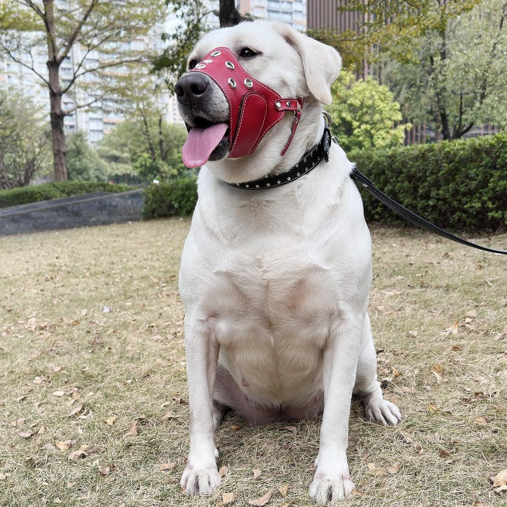 Leather Dog Muzzle for Medium & Large Dogs – Adjustable & Secure Fit, Lightwe...