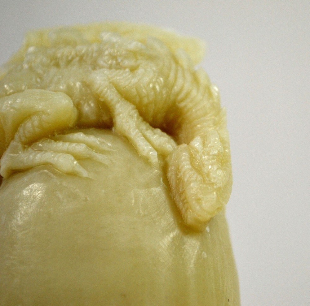 DRAGON EGG SILICONE MOLD for soap making and other crafts WING