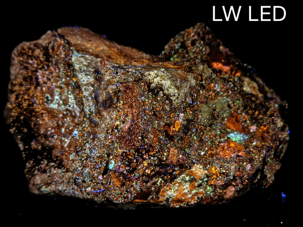 Multicolor Fluorescent  Sphalerite Horn Silver Mine, Utah 98 Gram