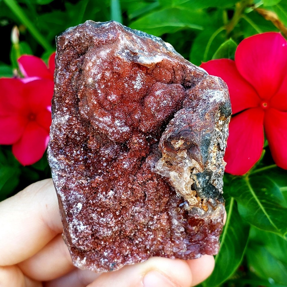 Fossilized Agate shell Cluster druzy natural crystal healing gemstone - #3