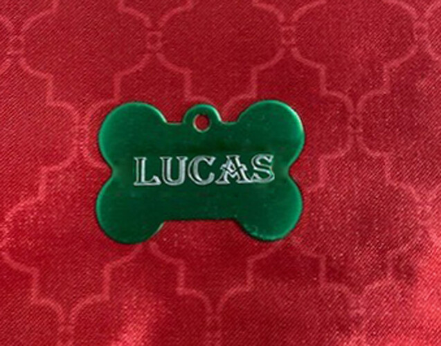PERSONALIZED PET TAG ID DOG NAME TAGS DOUBLE SIDE CUSTOM ENGRAVED BONE STAINLESS
