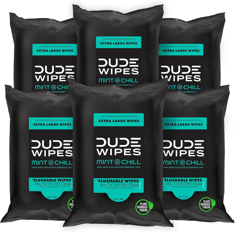 DUDE Wipes - Flushable Wipes Travel Pack - 6 Pack, 108 Count - Mint Chill Extra