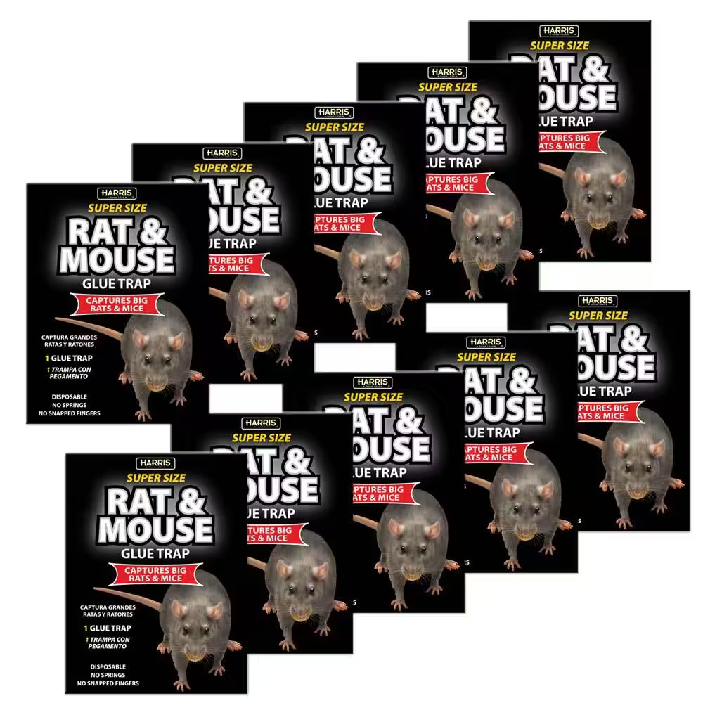Harris Rat and Mouse Glue Trap Super-Size Easy to Use Fully Disposable (10-Pack)