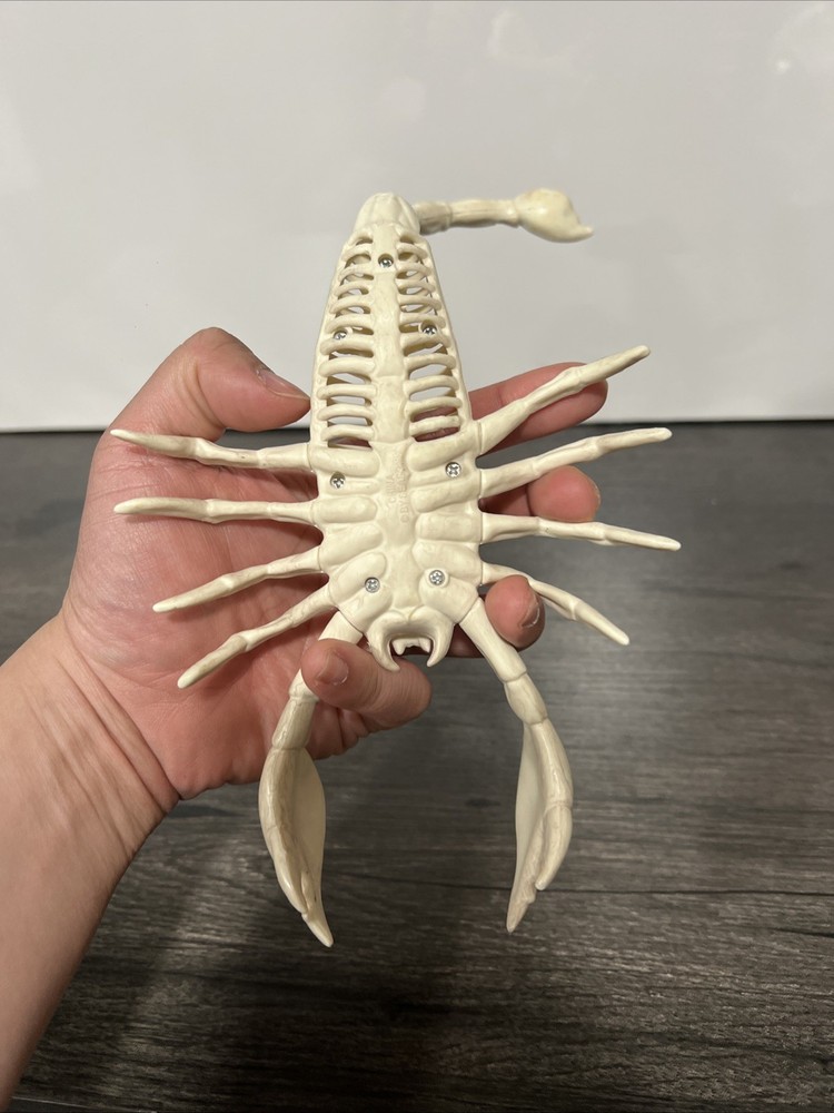 Halloween Scorpion Skeleton Figure
