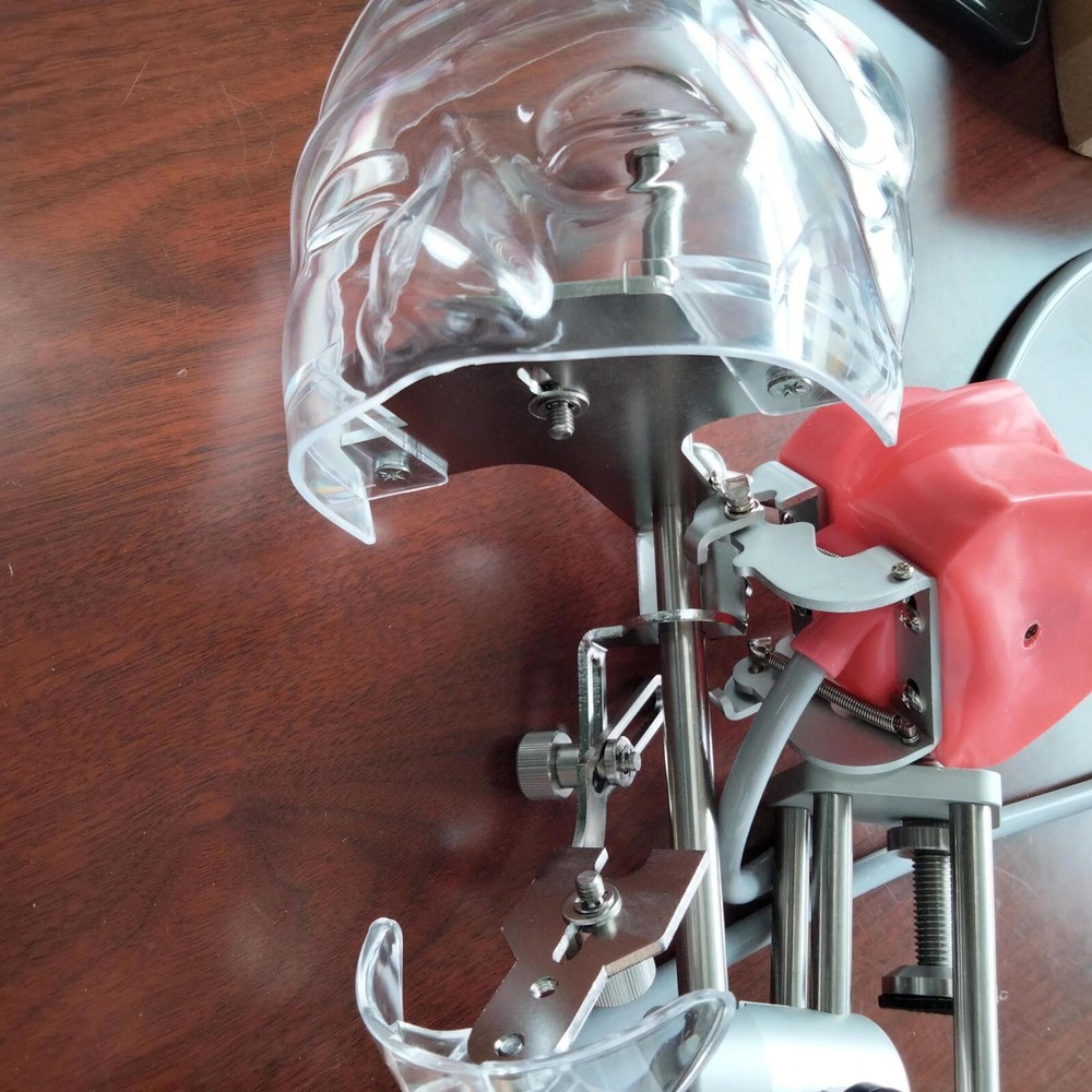 Dental Simulator Phantom Head Model Dental Preparation Support Display