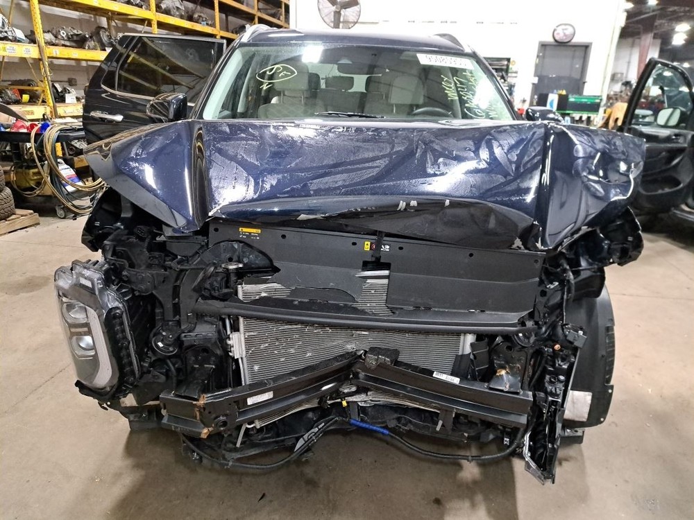 2020 Palisade Camera/Projector Sku#4355347