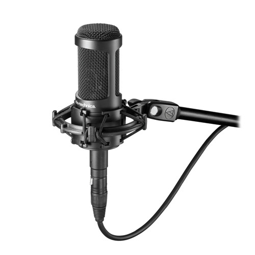 Audio-Technica AT2050 side-address microphone