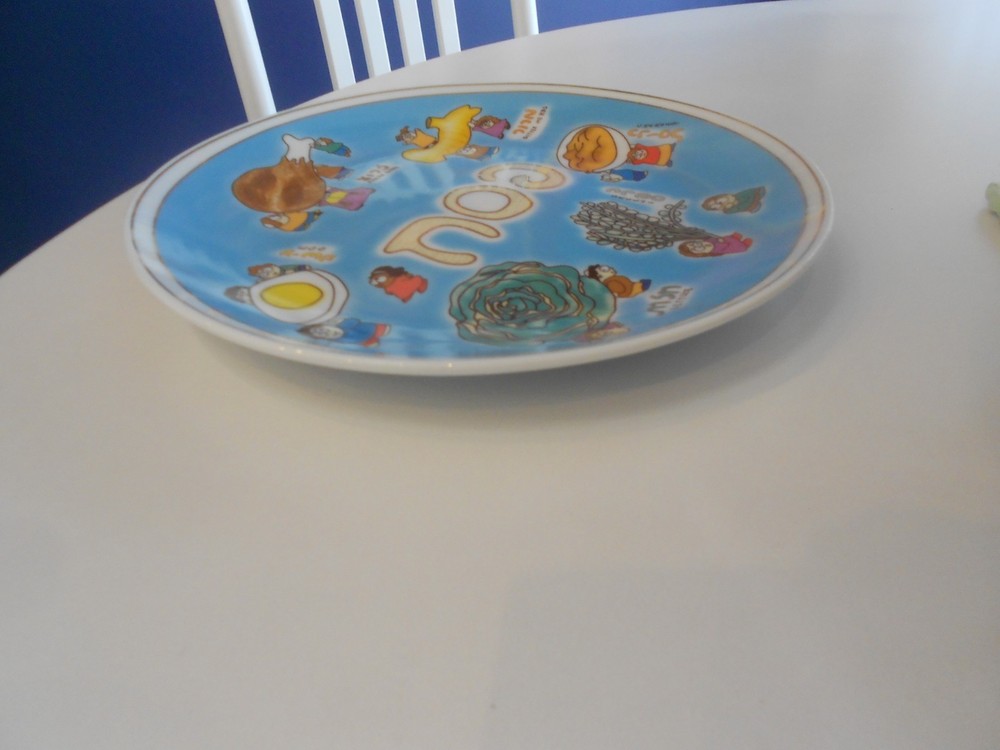 israel giftware designs passover plate 10" across