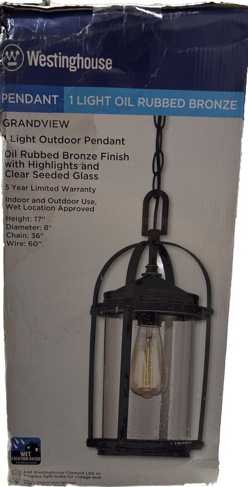 Westinghouse Lighting 6339400 Grandview One-Light