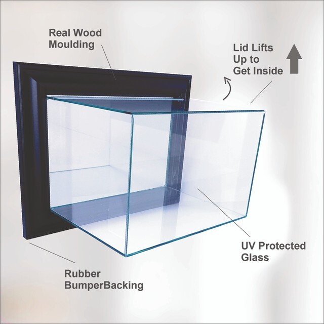 Wall Mounted Baseball Base Display Case UV Protected Base Showcase Pre 2023 Base