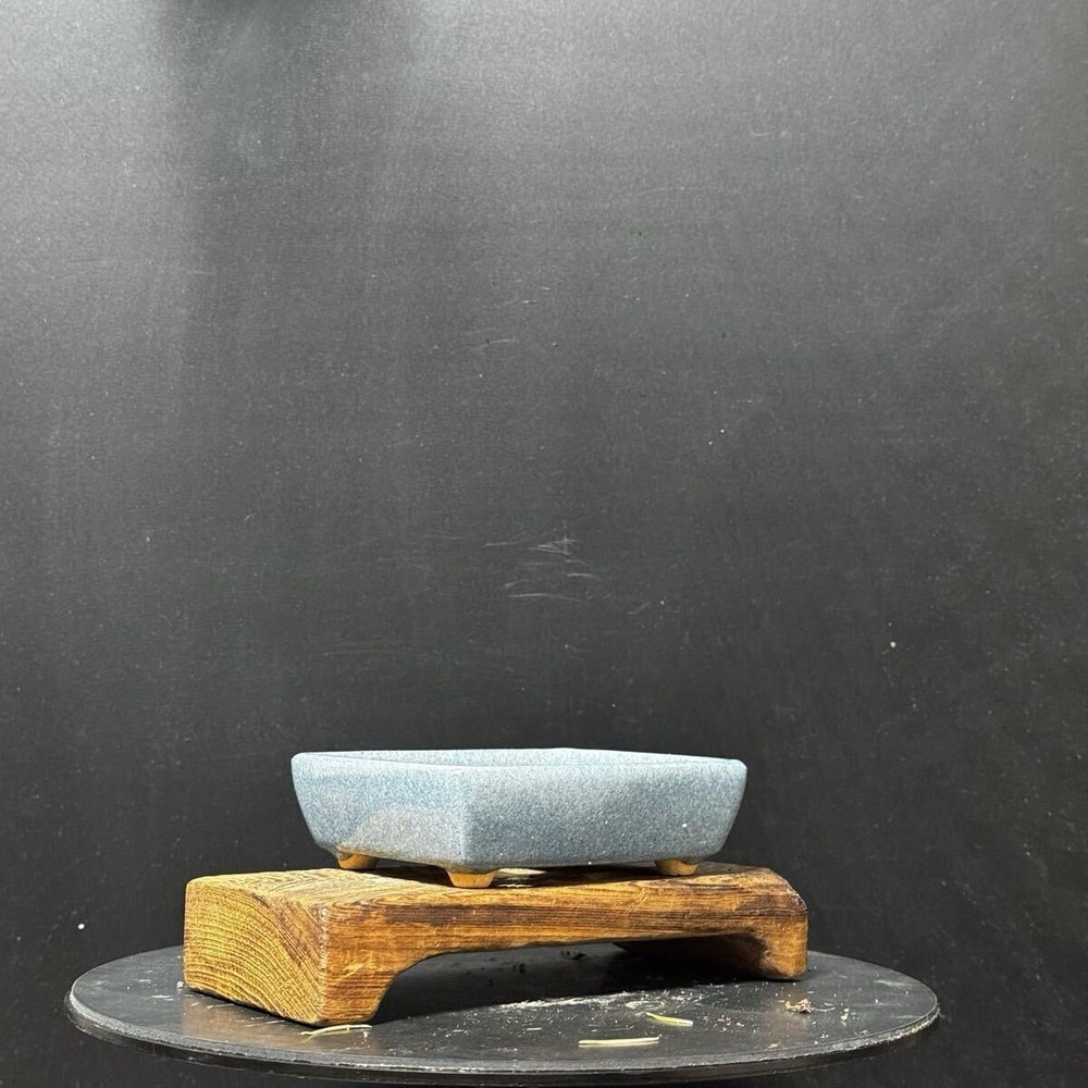 Japanese Bonsai Pot Rectangular 10cm Light Blue Mihashira Ceramic Planter New