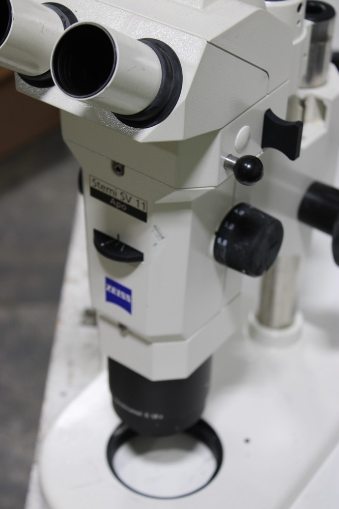 Zeiss Stemi SV 11 APO Stereo Microscope