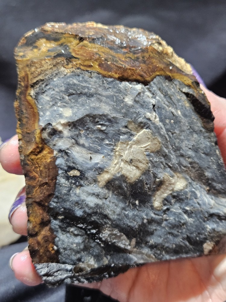 Biggs Jasper Multi Colored w/ Dendric Specimen Natural Form (14oz)