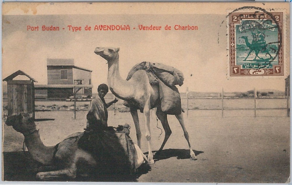 57397 -  S DAN - POSTAL HISTORY: MAXIMUM CARD 1908 - CAMEL