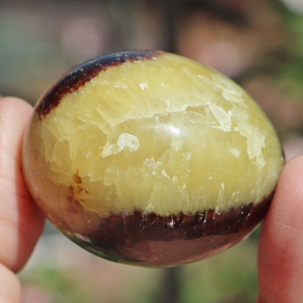 Polished Septarian Nodule (SEP45)