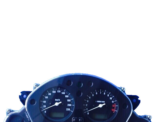 Instrumentation Odometer Speedometer Honda CBF 600 Original KM