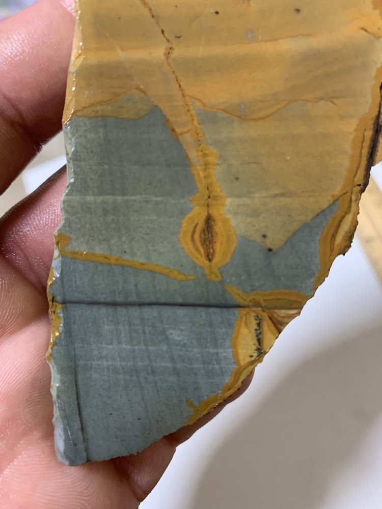 Owyhee Picture Jasper Slab