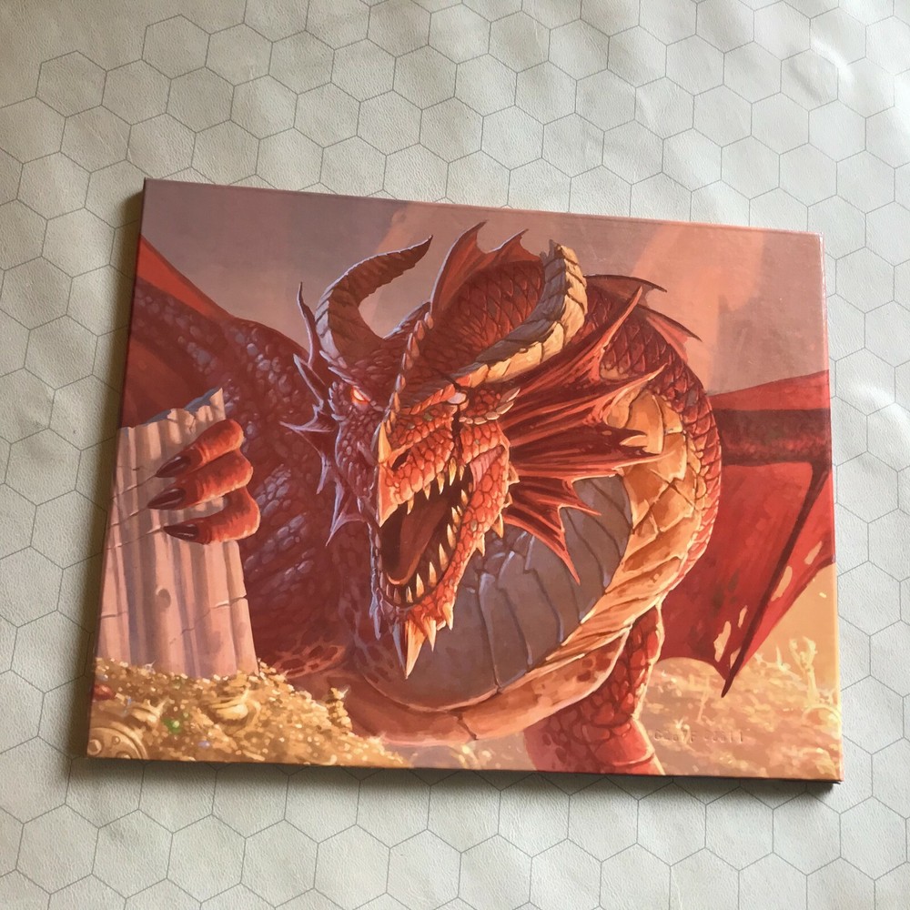 Dungeons and Dragons Dungeon Master's DM Screen Shield D&D 5th ed 2014 dungeons!