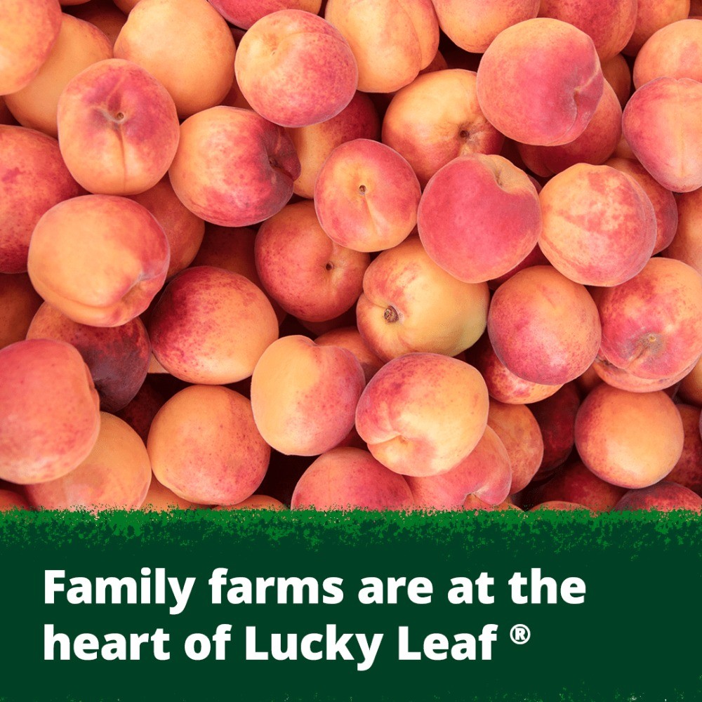 (4 pack) Lucky Leaf Premium Peach Fruit Filling & , 21 oz