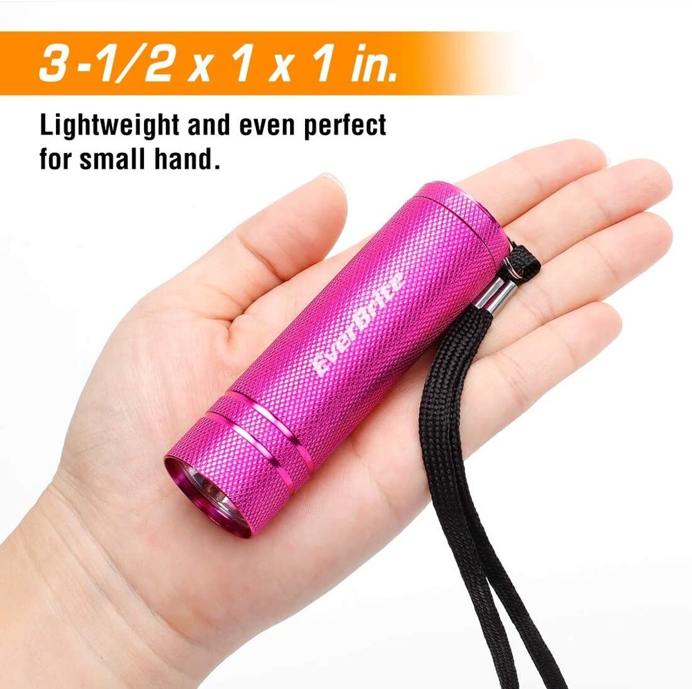 EverBrite 30 Pack Mini Flashlight Set LED Handheld Torches with 90 Batteries