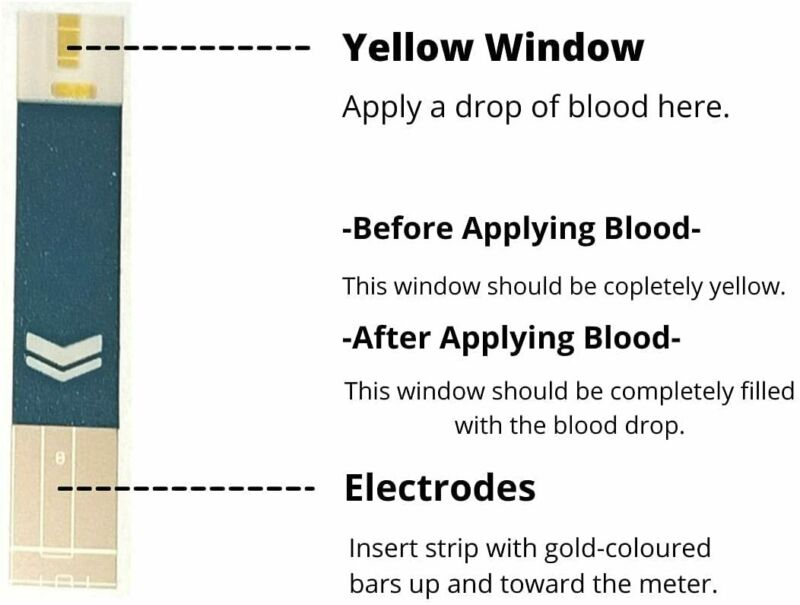SD Codefree Blood Glucose Test Strips