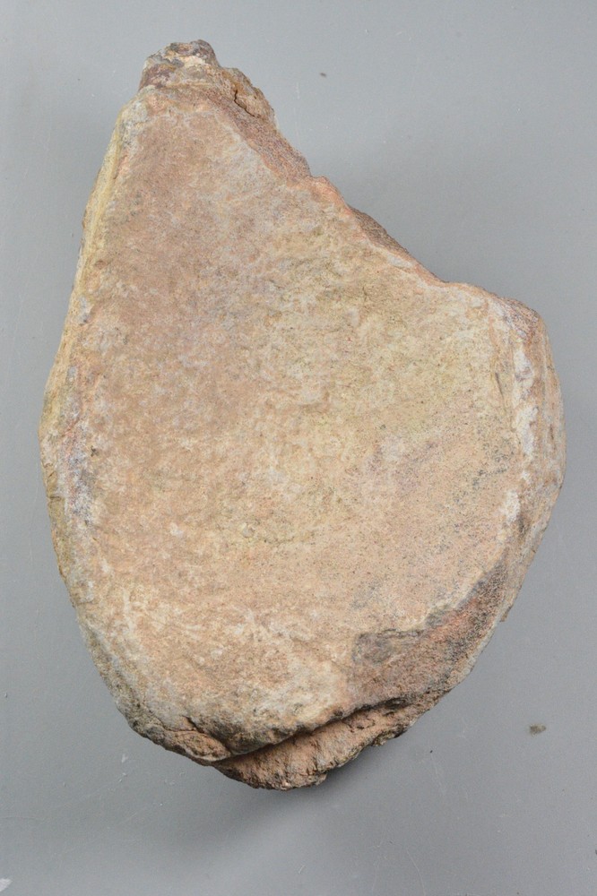 Allosaurus Vertebrae, Agatized Dinosaur Bone, Morrison Formation, Utah