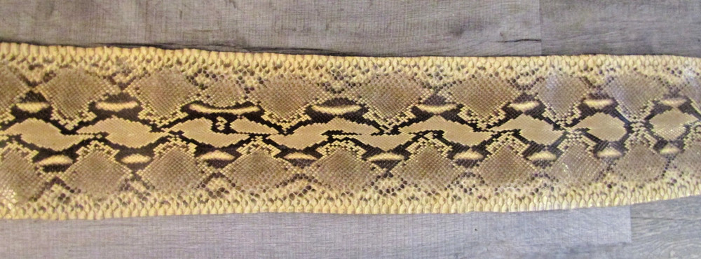 Taxidermy Genuine 15' 4" Long Reticulated Python Hide
