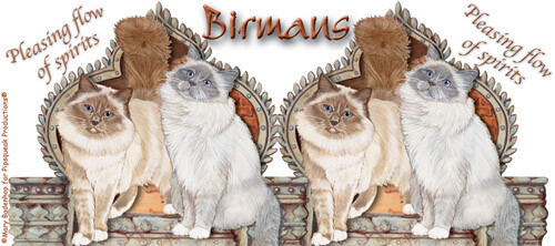 Birman Cat Ceramic Coffee Mug Tea Cup 15 oz