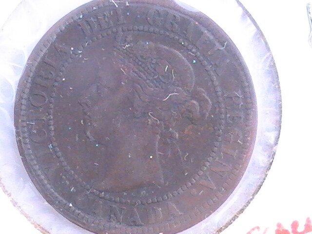 CANADA LARGE CENT 1901 COIN SCRATCHED ON OBVERSE