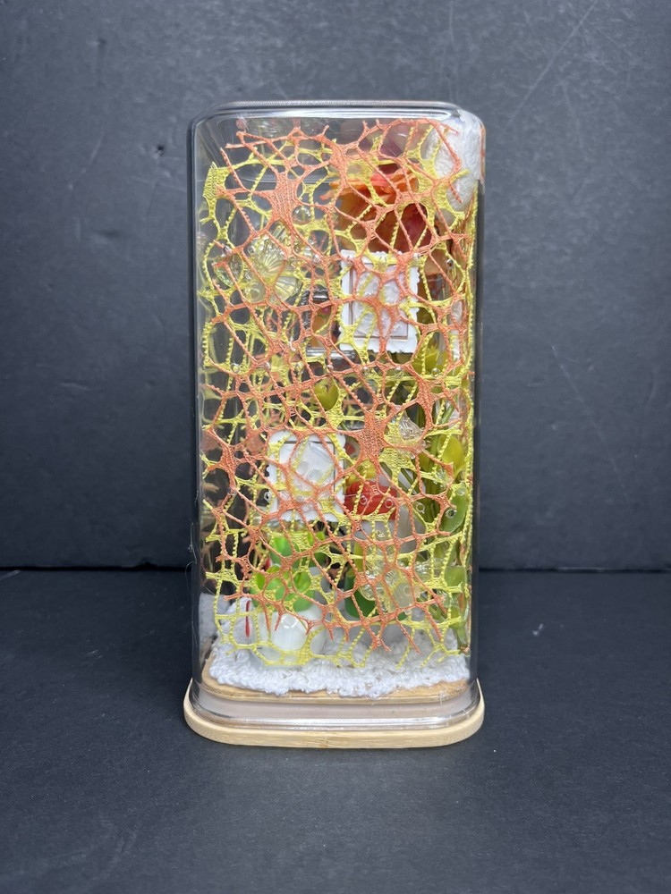 Yellow and orange hello kitty Jumping Spider Enclosure