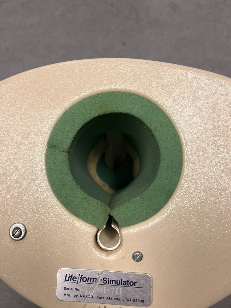 Male Rectal Examination Trainer Advanced - Light Tone - Lifeform