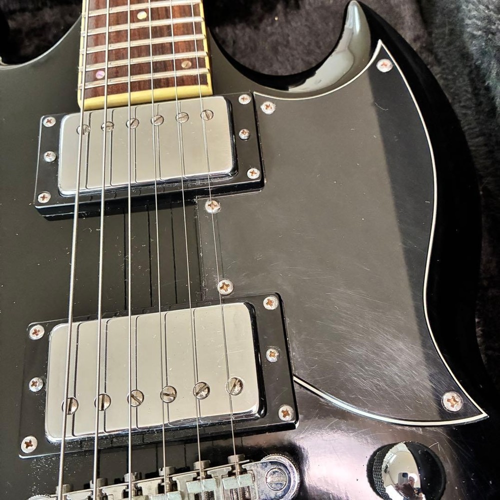 Model Grassroots by ESP Grassroots Viper Safe Packing!