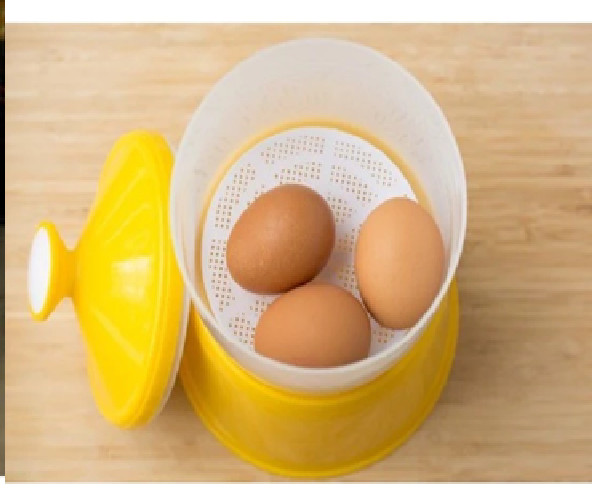 Half Boil Egg Cooker - Auto Timer Elektrik Egg Marker