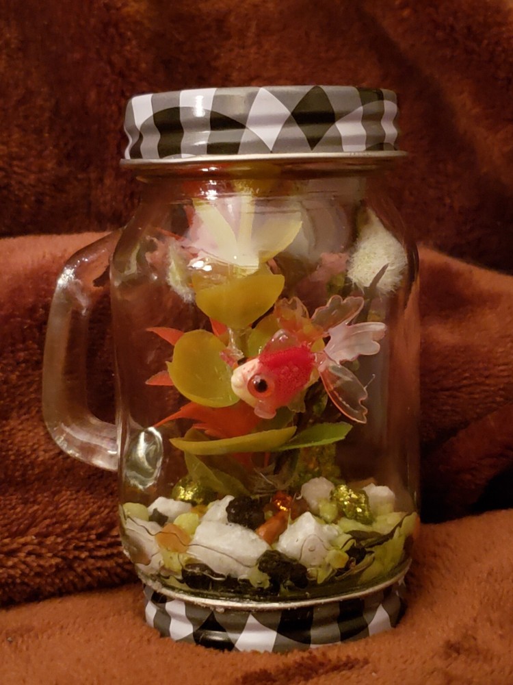 Gingham & Goldfish