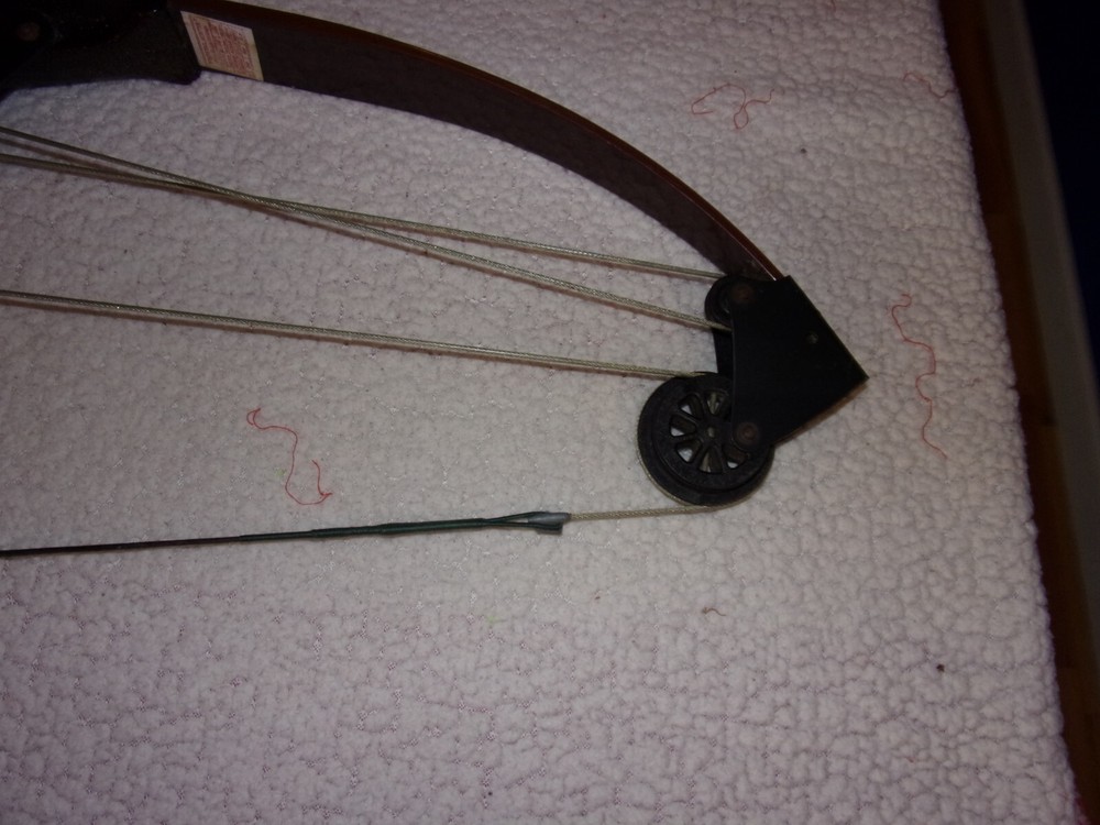 Vintage Bear Whitetail Hunter Compound Bow